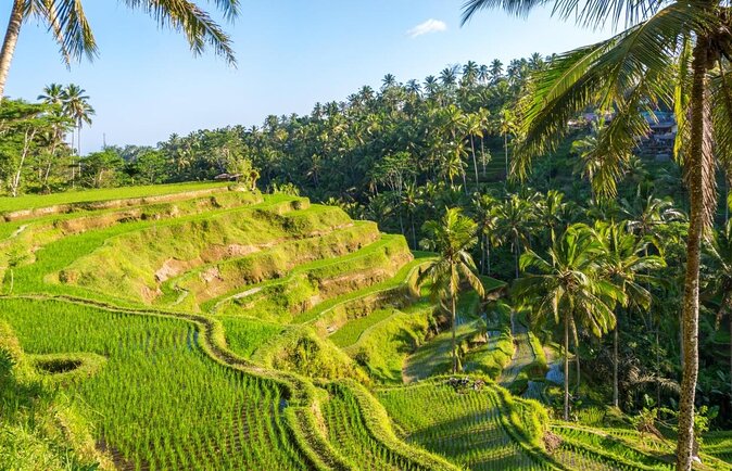 Private Full-Day Tour: Balinese Temples and Rice Terraces - At a glance: what makes this day useful