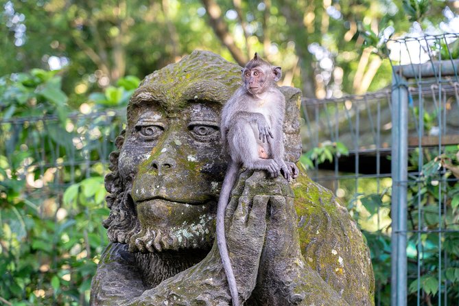 Private Full-Day Tour: Balinese Temples and Rice Terraces - Lunch at D’Alas Warung with jungle views