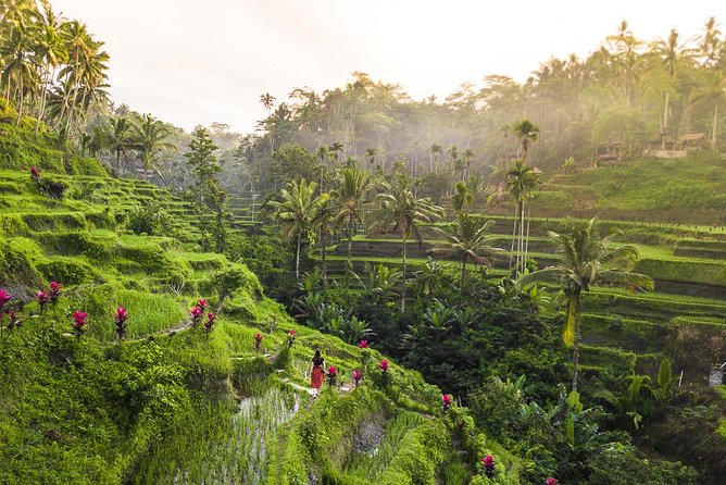 Private Full-Day Tour: Balinese Temples and Rice Terraces - Is $59.90 per person a fair price?