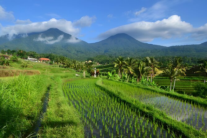 Private Full-Day Tour: Ulun Danu Beratan Temple, Jatiluwih and Tanah Lot Temple - Why this route makes sense from Seminyak