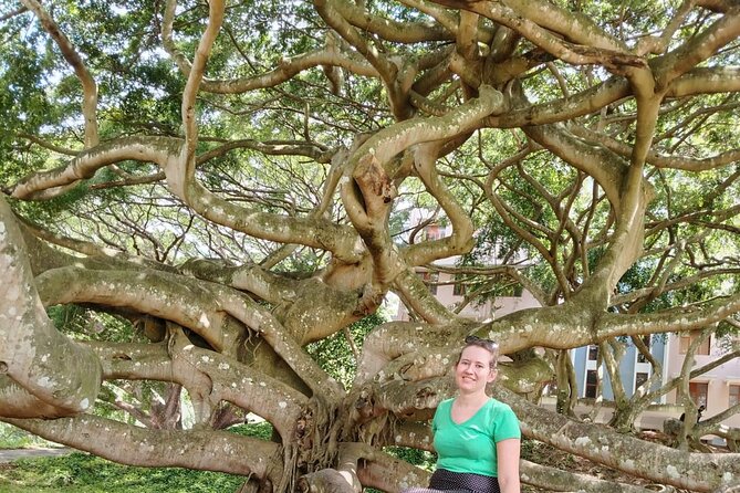 Private Kandy City Tour: Temple of the Tooth & Lake Highlights - Bahirawakanda and the giant Buddha above Kandy