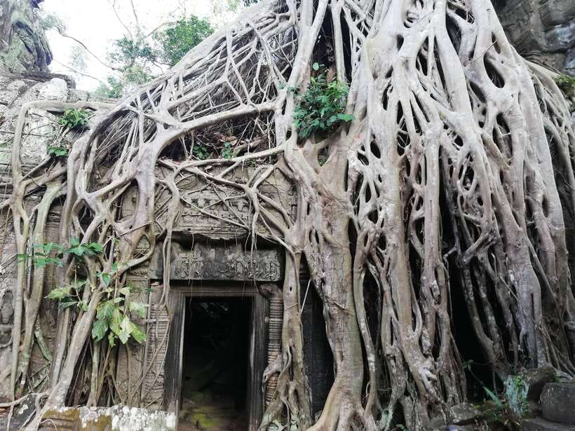 Private Sunrise Angkor Wat Tour - The early pickup and private van
