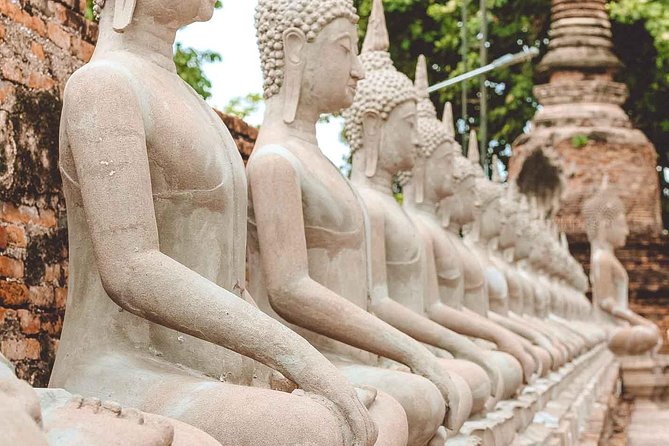 Private Tour: Ayutthaya Temples, Ruins and Lunch on River Cruise - Wat Mahathat and the Buddha head in the tree roots