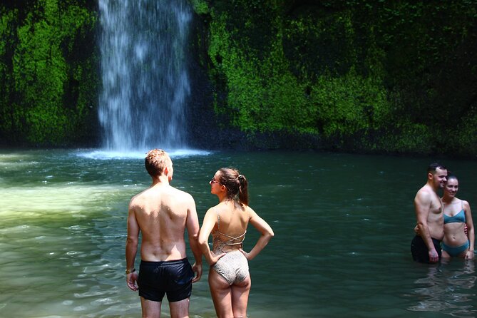 Private Tour : Bali Best Waterfalls, Temples and Monkey Forest - Lunch in Ubud, with the choice left to you