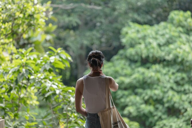 Private Tour : Bali Best Waterfalls, Temples and Monkey Forest - What the guides add to the day