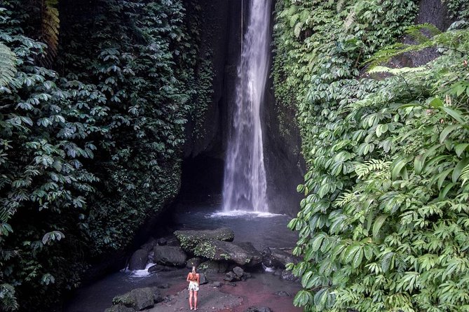 Private Tour: Leke-Leke Waterfall, Handara gate & Iconic Temples - What the private car adds to the day