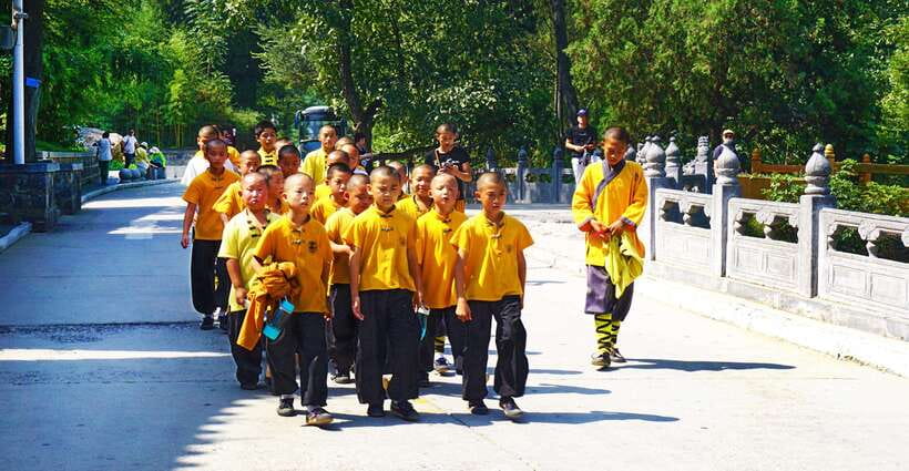 Private Tour: Longmen Grottoes, Shaolin Temple & Kungfu Show - Why This One-Day Combination Works