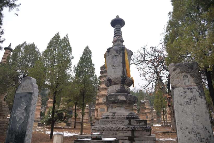 Private Tour: Longmen Grottoes, Shaolin Temple & Kungfu Show - Should You Book It?