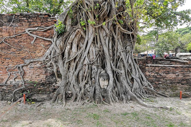 Private tour to Ayutthaya and Lopburi Monkey Temple (from Bangkok) - Viharn Phra Mongkol Bopit and its enormous Buddha