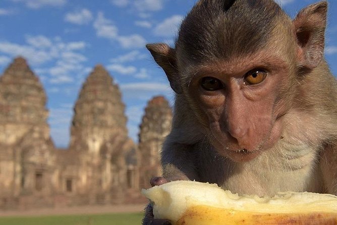 Private tour to Ayutthaya and Lopburi Monkey Temple (from Bangkok) - Lopburi, an old city with a very different mood