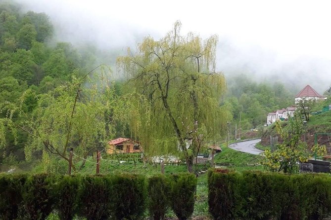 Private Tour: Tsaghkadzor, Sevan lake,Sevanavank, Dilijan, Haghartsin monastery - Dilijan, the wooded pause in the middle
