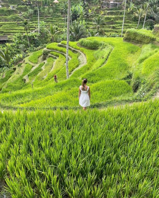 Private ubud tour Rice teracce, temple & Secret waterfall - Why this Ubud day tour works