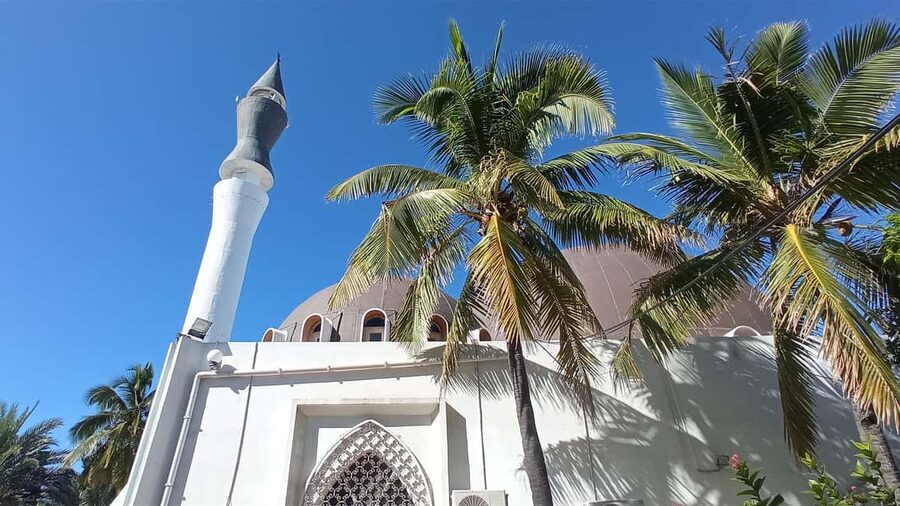 Réunion Island: Temples and religions Half-day tour - Saint-Pierre-Saint-Paul church and its wooden structure
