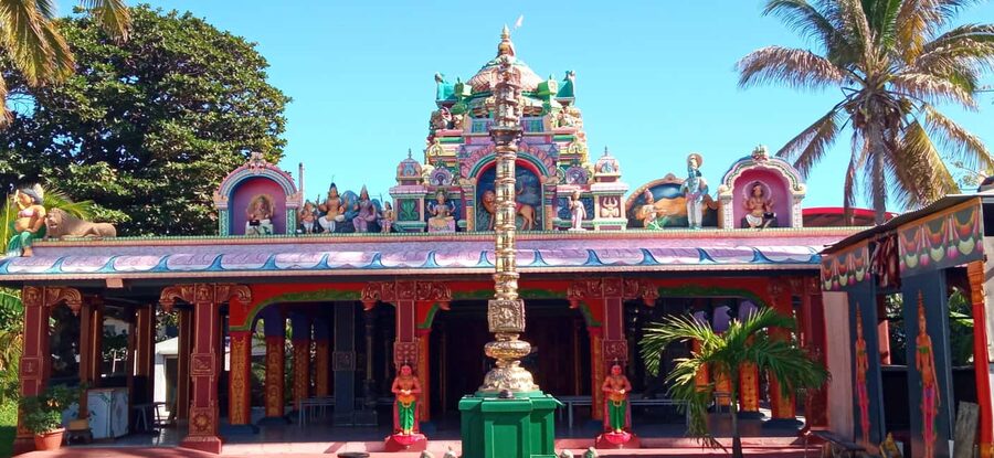 Réunion Island: Temples and religions Half-day tour - Saint-Pierre Covered Market for souvenirs and a final pause