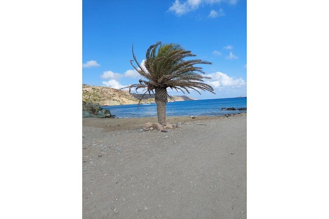 RIVIERA - Vai Palm Beach, Toplou Monastery - The road east from Agios Nikolaos