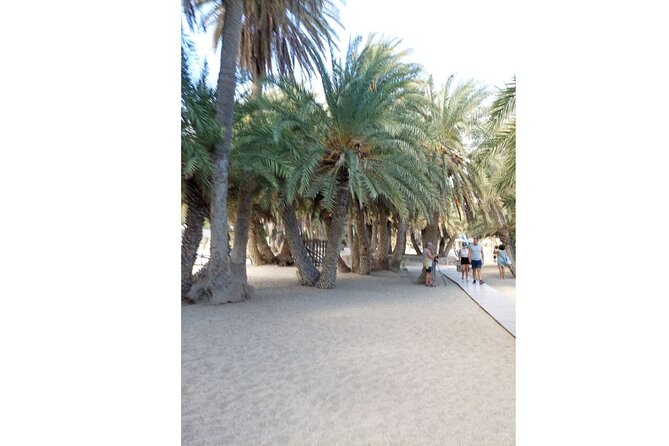 RIVIERA - Vai Palm Beach, Toplou Monastery - Vai Palm Forest and the beach