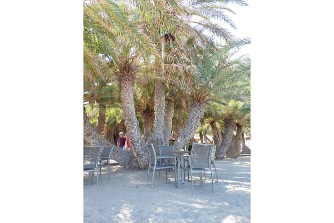 RIVIERA - Vai Palm Beach, Toplou Monastery - Lunch with a Cretan view