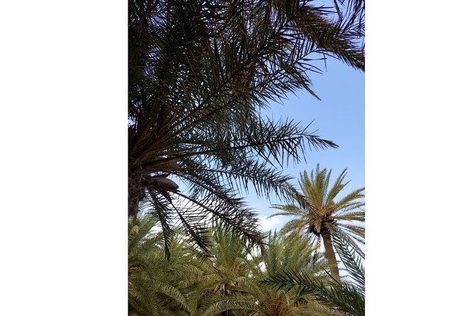 RIVIERA - Vai Palm Beach, Toplou Monastery - Platanos and the sunset return
