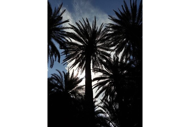 RIVIERA - Vai Palm Beach, Toplou Monastery - Guides, group size, and the feel of the day