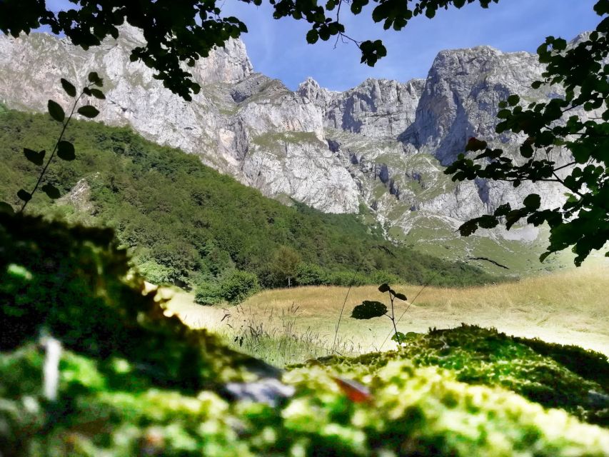 Santander: Picos, Santo Toribio Monastery and Potes Day Tour - Is $106 a fair price?