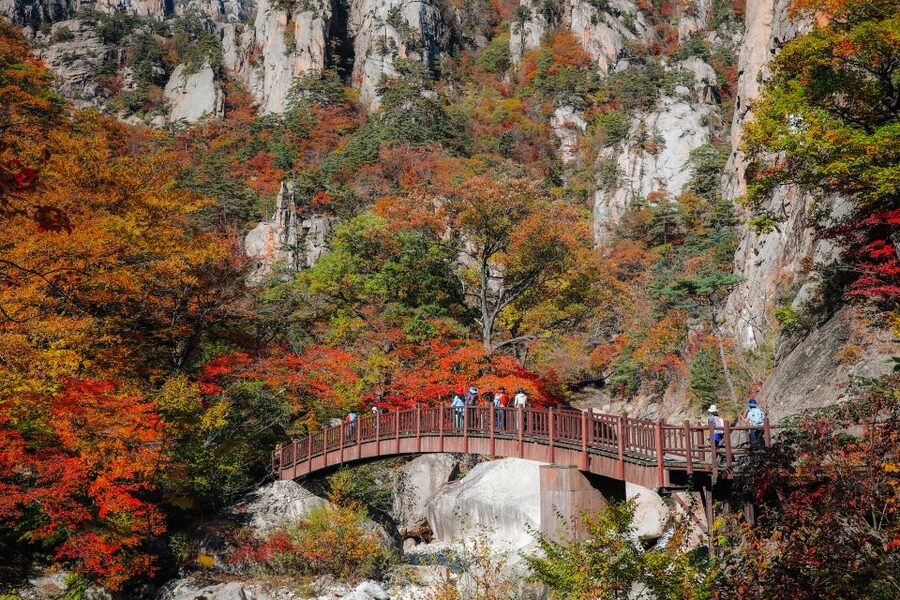 Seoul: Mt Seorak + Naksansa Temple or Nami Island Group Tour - Key points to know before booking