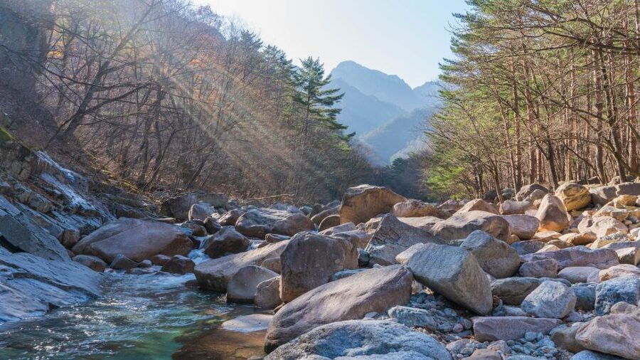 Seoul: Mt Seorak + Naksansa Temple or Nami Island Group Tour - Why Mt Seorak makes this long day worthwhile