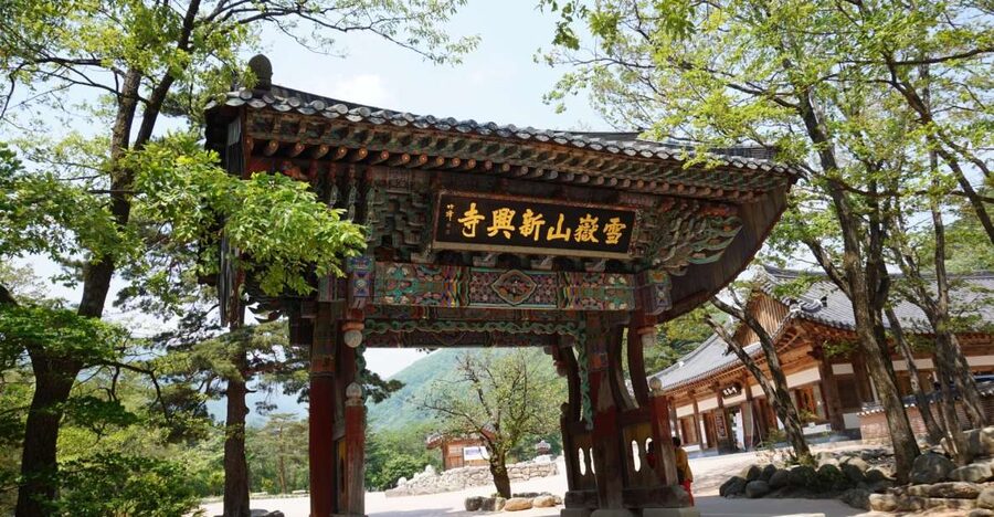 Seoul: Mt Seorak + Naksansa Temple or Nami Island Group Tour - Nami Island for an easier second stop