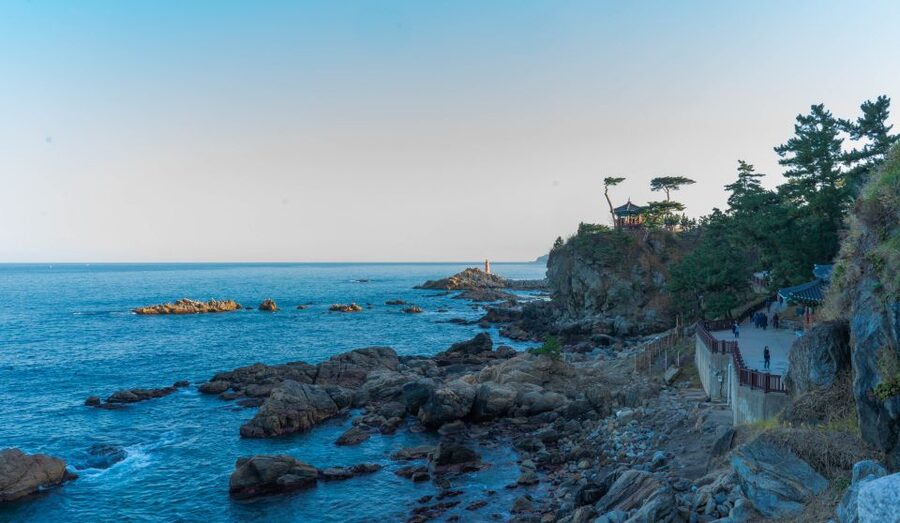 Seoul: Mt Seorak + Naksansa Temple or Nami Island Group Tour - Who should book this day trip?