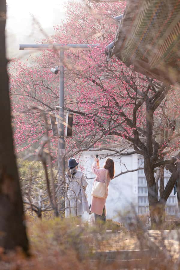 Seoul: Temple & Starfield COEX Mall Gourmet Tour in Gangnam - What the guide adds to the evening