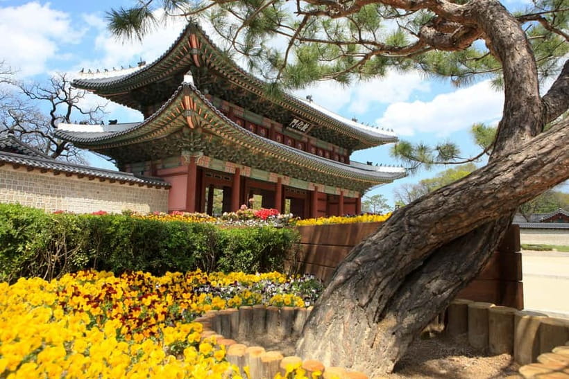 Seoul: Vegan Temple Food Class, Jogyesa & Changdeokgung Tour - Insadong’s teahouses, crafts, and small discoveries