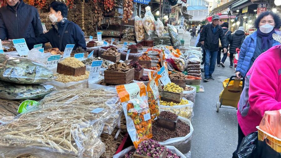 Seoul: Vegan Temple Food Class, Jogyesa & Changdeokgung Tour - The medicinal herb market and Korean wellness traditions