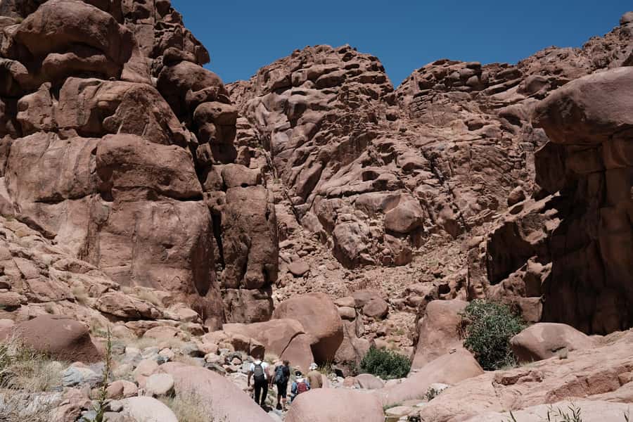 Sharm El Sheikh: Mount Sinai & St. Catherine's Monastery - Practical advice for a better day