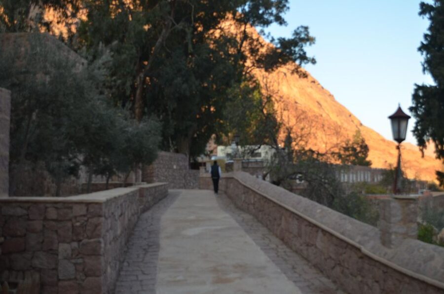 Sharm El Sheikh: Saint Catherine's Monastery Private Tour - Who should book this day trip