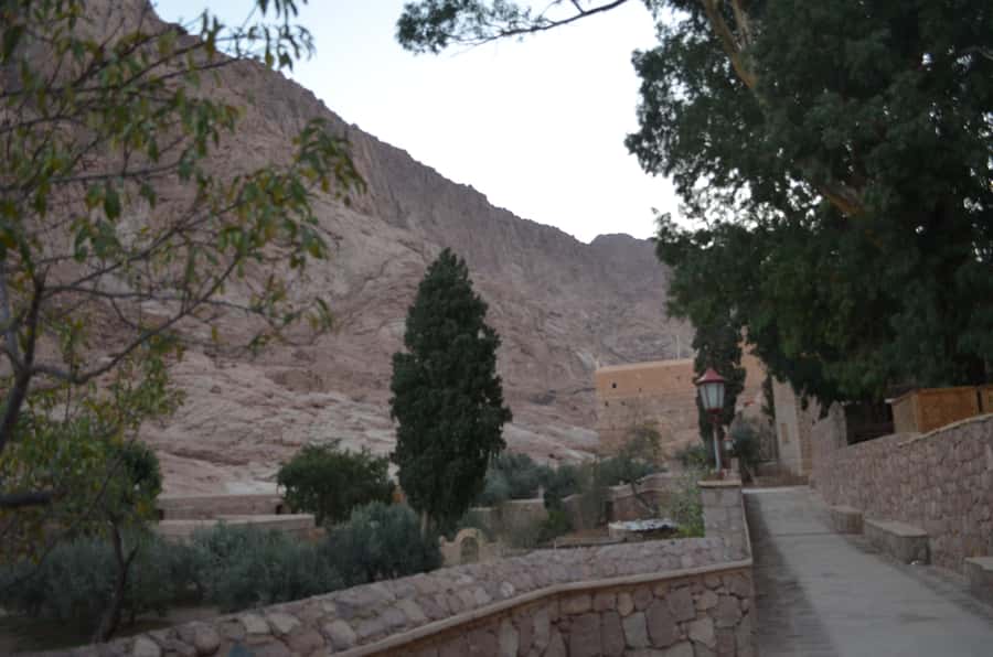 Sharm El Sheikh: Saint Catherine's Monastery Private Tour - The early start and the Sinai road