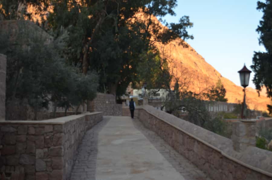 Sharm El Sheikh: Saint Catherine's Monastery Private Tour - What the $185 price includes