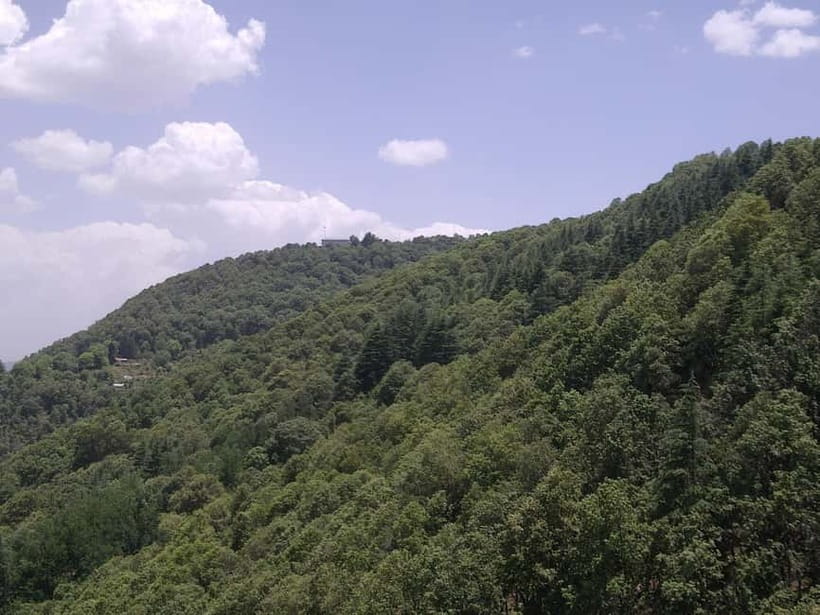 Shimla: Temples Tour with full day Local Driver Guide - Key points to know before booking