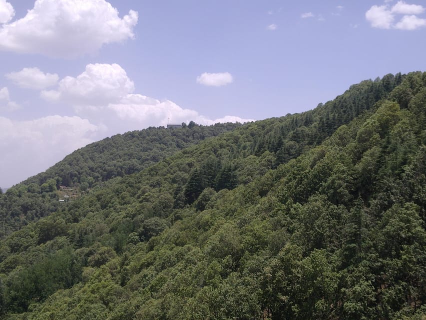 Shimla: Temples Tour with full day Local Driver Guide - Is $43 per person good value?
