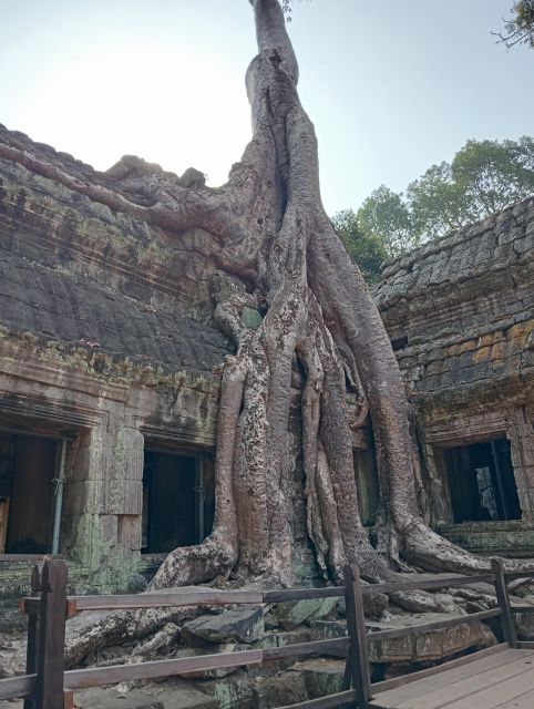 Siem Reap: 1-Day Angkor Wat Tour in Portuguese - What the Portuguese guide adds