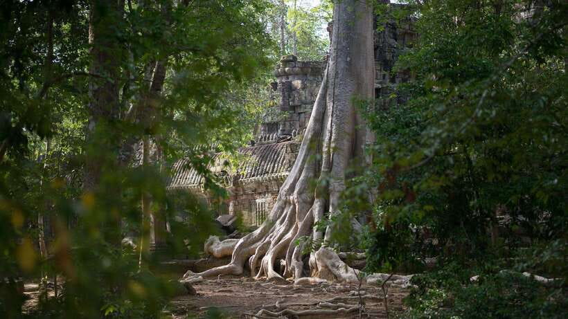 Siem Reap: Angkor Temples Off-Track Bicycle Tour - From Angkor Wat’s wall to Angkor Thom’s South Gate