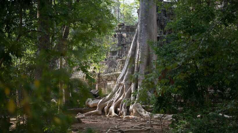 Siem Reap: Angkor Temples Off-Track Bicycle Tour - Ta Keo closes the temple route