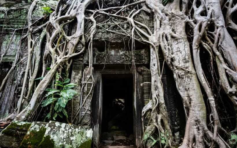 Siem Reap: Angkor Temples Tour - Shared Tours tours guide - Angkor Wat and the promised sunrise view