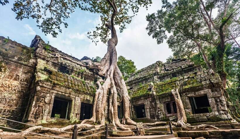 Siem Reap: Angkor Wat: Small-Group Sunrise or Sunset Tour - The royal terraces and the story of power
