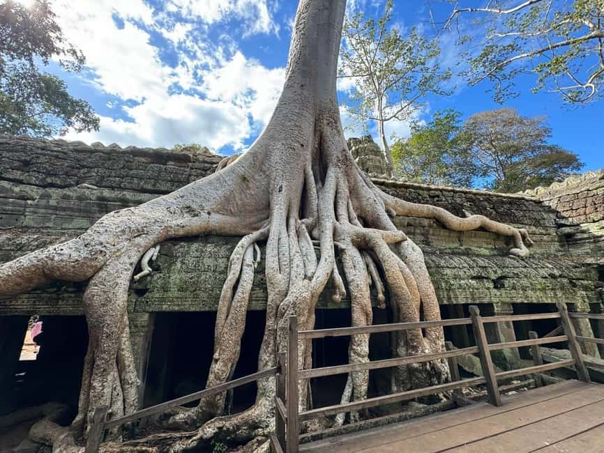 Siem Reap: Angkor Wat Small Group Tour with Spanish Guide - Why the Spanish guide matters at Angkor