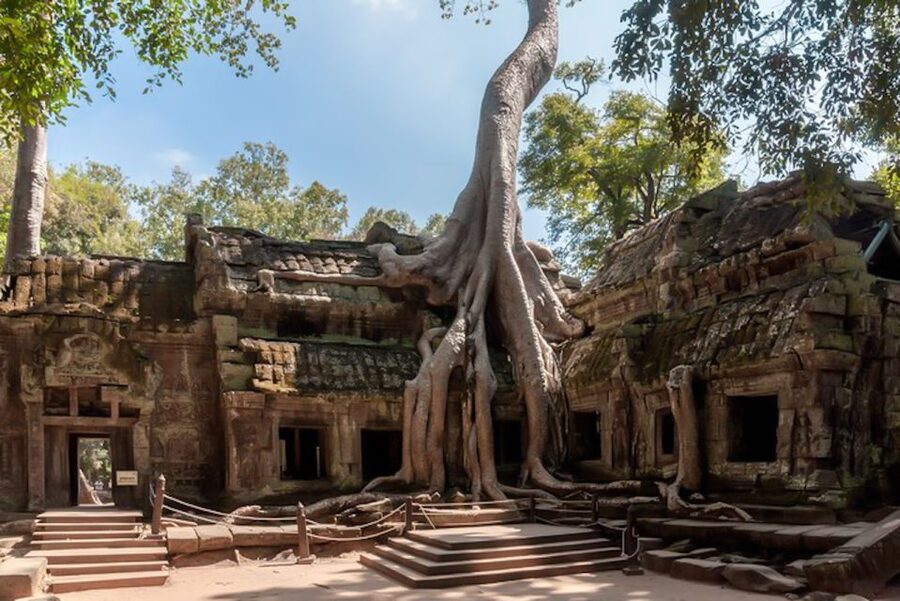 Siem Reap: Angkor Wat Sunrise and Full-Day Sightseeing Tour - What the van, driver, and guide add