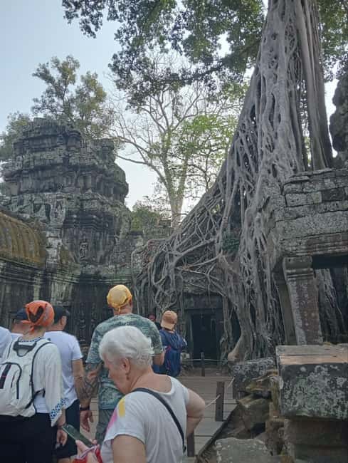 Siem Reap: Angkor Wat Tour with Italian-Speaking Guide - Price, comfort, and practical value