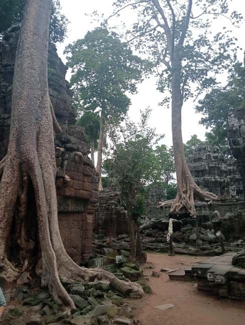 Siem Reap: Angkor Wat Tour with Italian-Speaking Guide - Who should book this Angkor tour?