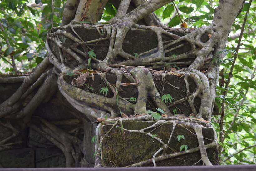Siem Reap: Day Trip to Koh Ker and Beng Mealea Temples - FAQ