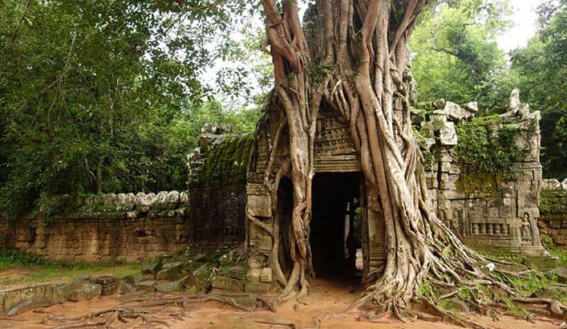 Siem Reap: Grand Circle Temples Tour With Private Tuk-Tuk - East Mebon: a change of setting
