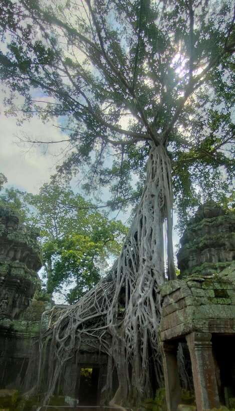 Siem Reap Private Tour: Angkor Wat Sunrise And Banteay Srei - Bayon and the faces of Angkor Thom