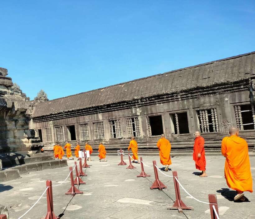 Siem Reap Private Tour: Angkor Wat Sunrise And Banteay Srei - Ta Prohm and the trees over the ruins